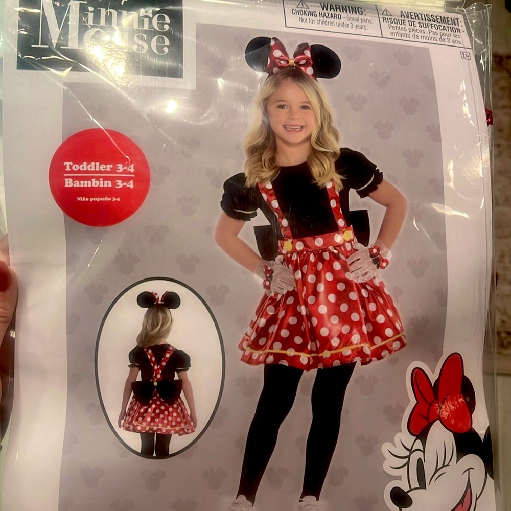 Minnie Mouse Halloween Costume
